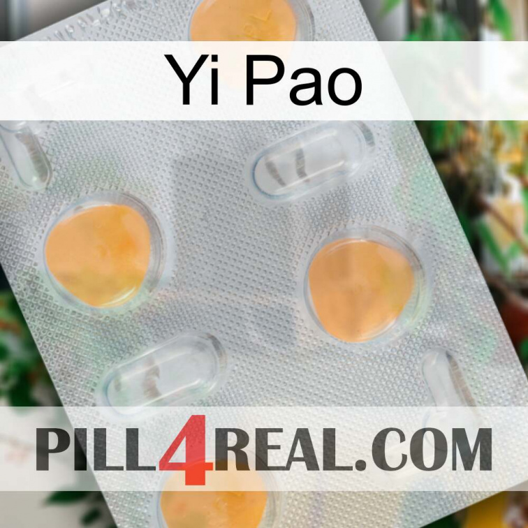 Yi Pao 24